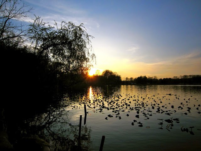 sun over Bair Lake by Katie M. Reid Photography 