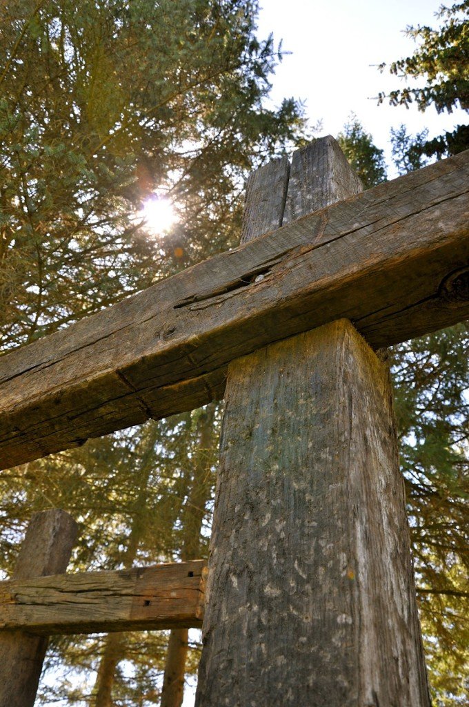 cross with light through trees by Katie M. Reid photography 