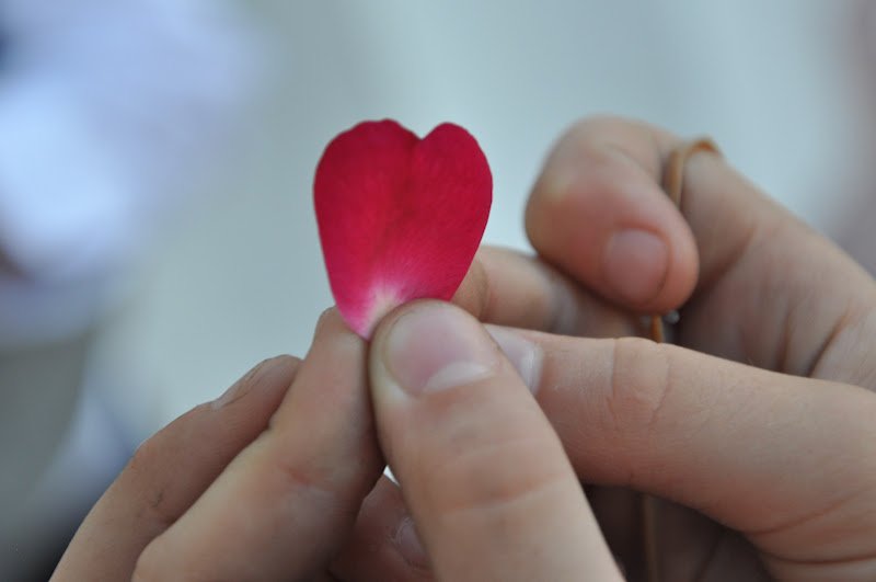 Hands holding up a rose petal heart 