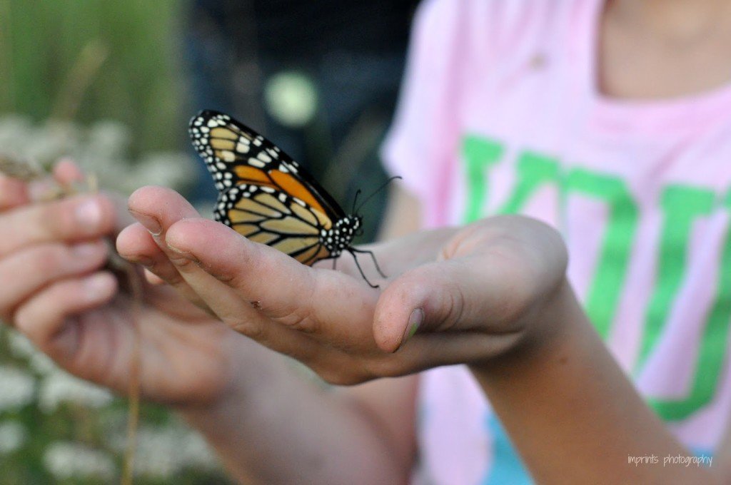 Girl holding a monarch butterfly in her hand by Katie M. Reid Photography 