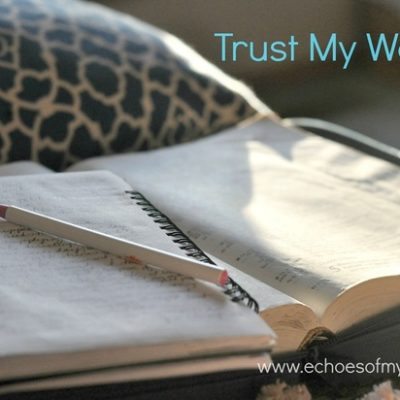 Trust My Words