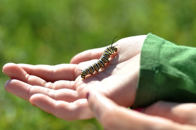 girl holding caterpillar