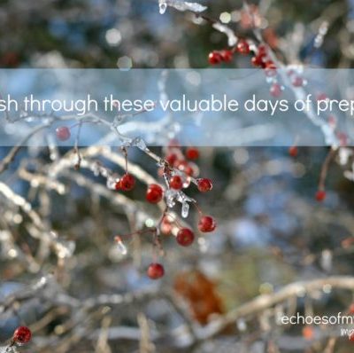 Valuable days of preparation quote with winter berries and ice