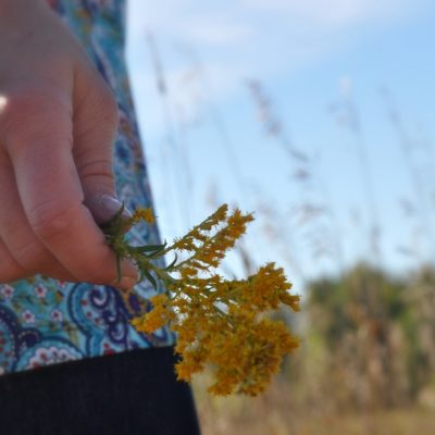 Hands holding flower by Katie M. Reid