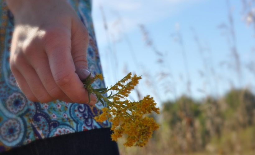 Hands holding flower by Katie M. Reid