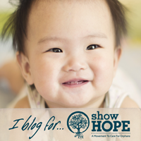 I Blog for Show Hope