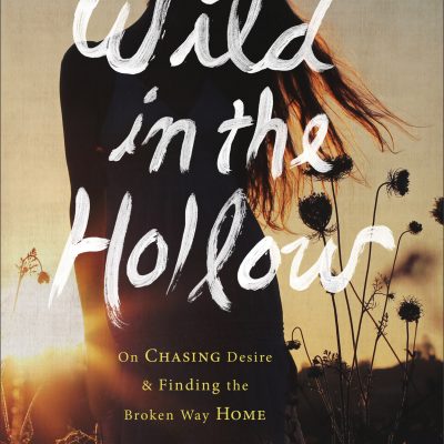 Wild in the Hollow by Amber C Haines via Revell