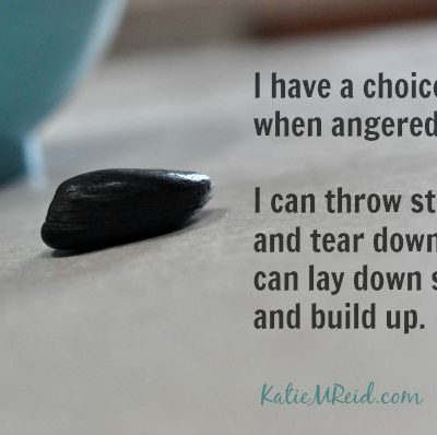 I can throw down or build up by Katie M Reid