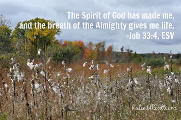 The breath of the Almighty Job 33:4