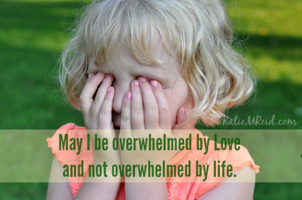 Overwhelmed with love not life by Katie M. Reid 