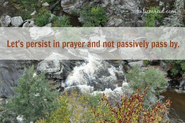 Persist in Prayer by Katie M. Reid