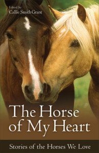 The Horse of My Heart by Callie Smith Grant for Revell Books