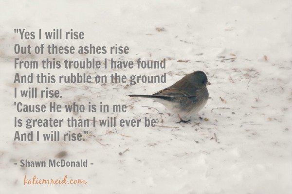 I Will Rise Lyrics by Shawn McDonald image 