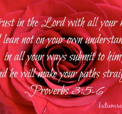 Proverbs 3:5-6 rose image by Katie M. Reid