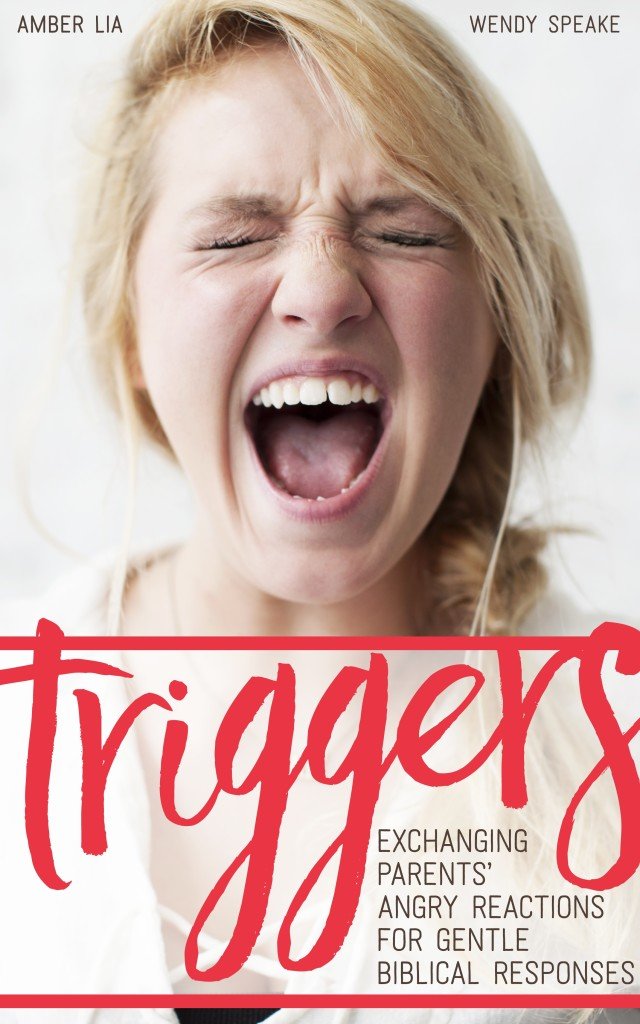 Triggers Book cover by Amber Lia and Wnedy Speake