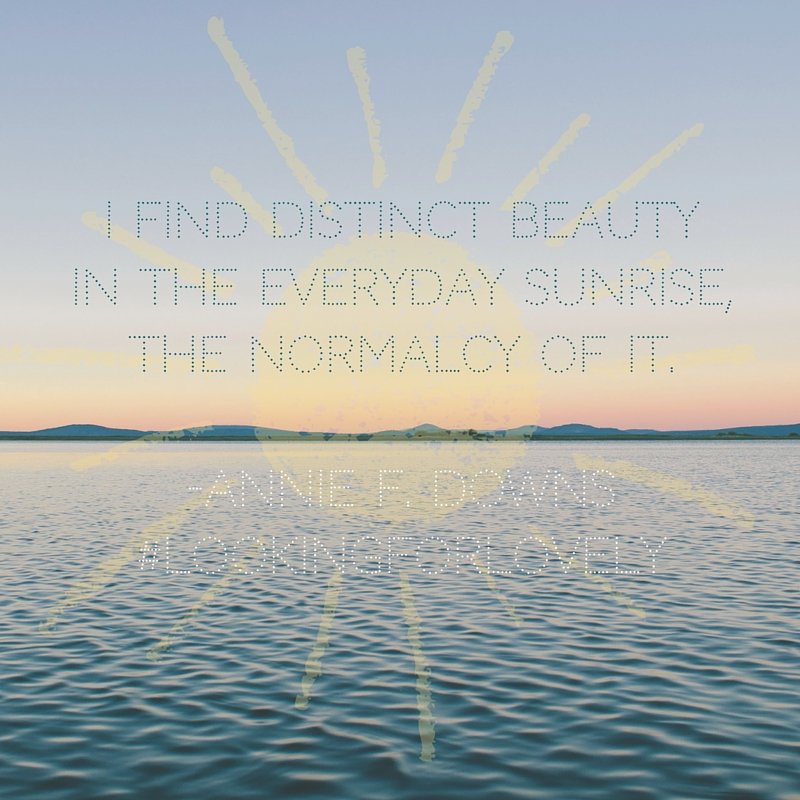 Distinct beauty in the sunrise quote by Annie F. Downs from Looking for Lovely 