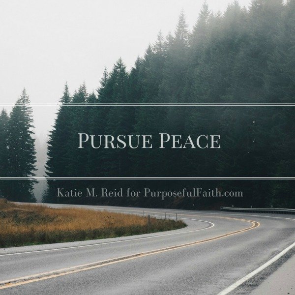 Pursue peace image for Purposeful Faith