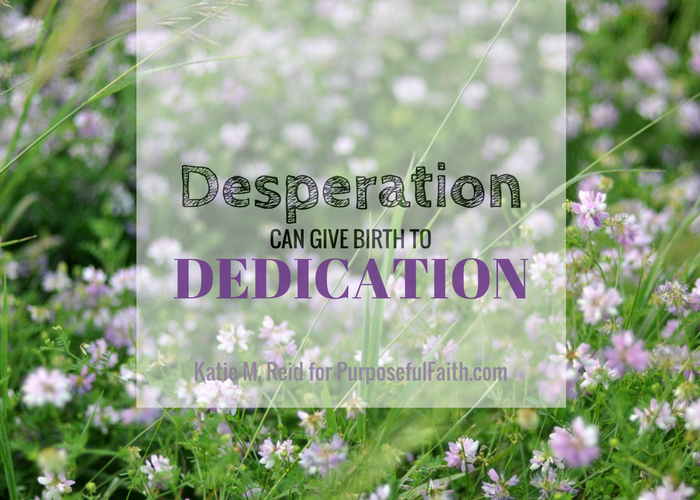 Desperation can give birth to dedication quote by Katie M. Reid for Kelly Balarie's Purposeful Faith