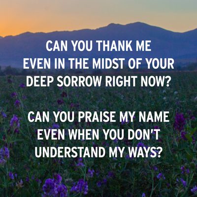 Can you thank me in the midst of your deep sorrow? Quote by Judy Dunagan for katiemreid.com