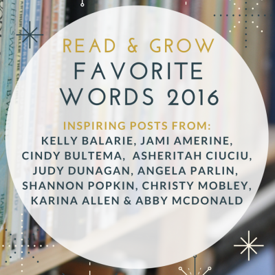 Favorite words from 2016 by authors like Jami Amerine and Kelly Balarie