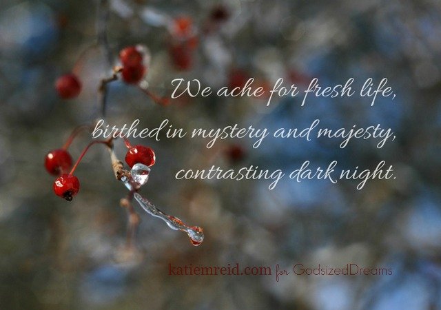 We ache for fresh life quote by Katie M. Reid