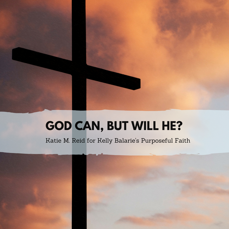 God Can But Will He quote by Katie M Reid for Kelly Balarie's purposeful faith blog 