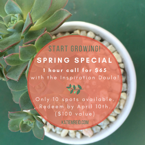 Spring special consulting calls with Inspiration Doula 