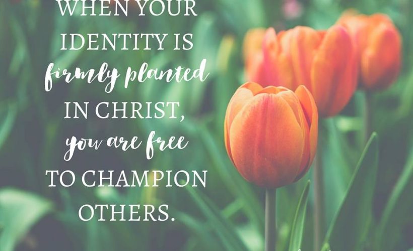 Identity in Christ champion others quote by author Laura Dingman