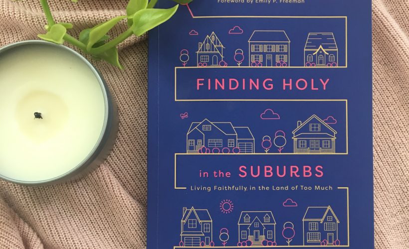 Finding Holy in the Suburbs book by author Ashley Hales IVP