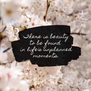 There is beauty to be found in life's unplanned moments quote by Katie M. Reid