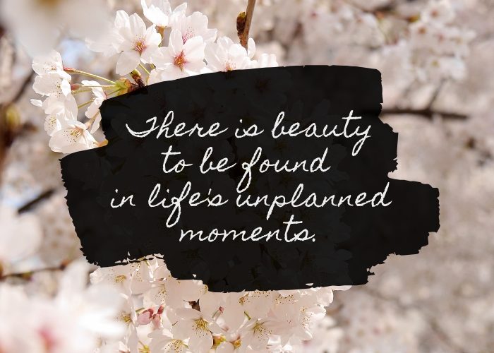 There is beauty to be found in life's unplanned moments quote by Katie M. Reid