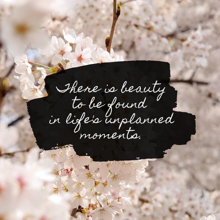 There is beauty to be found in life's unplanned moments quote by Katie M. Reid 