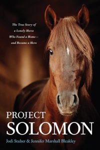 Project Solomon book by Jennifer Marshall Bleakley and Jodi Stuber