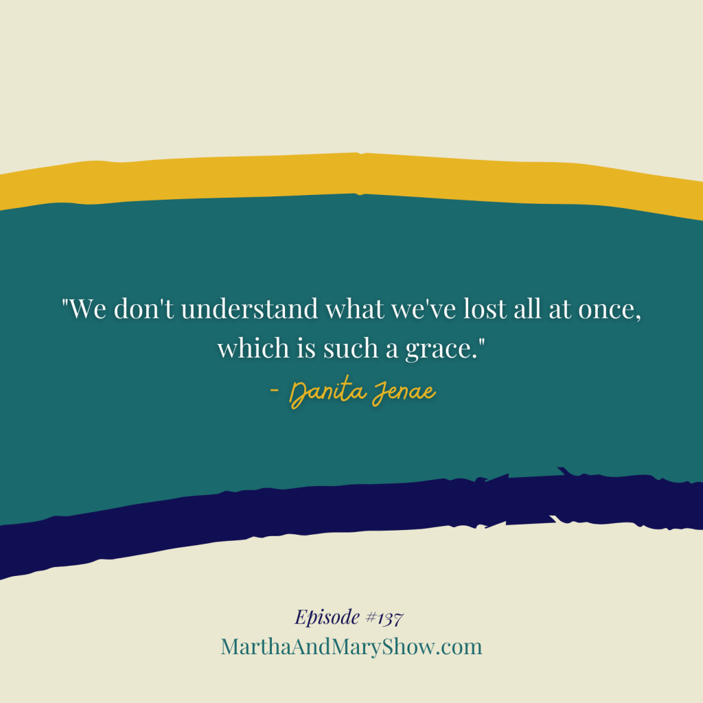 We don't understand what we've lost all at once quote by Danita Jenae
