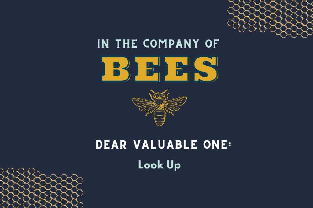 Dear Valuable One letter written by Katie M. Reid from In the Company of Bees
