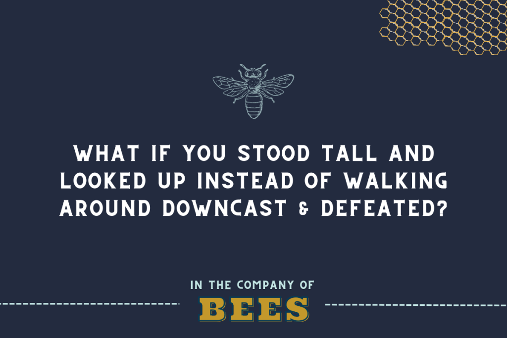 Stand tall quote Katie M. Reid 